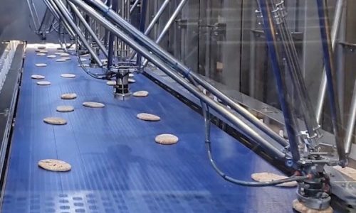 Pitta-bread-Picker-Line